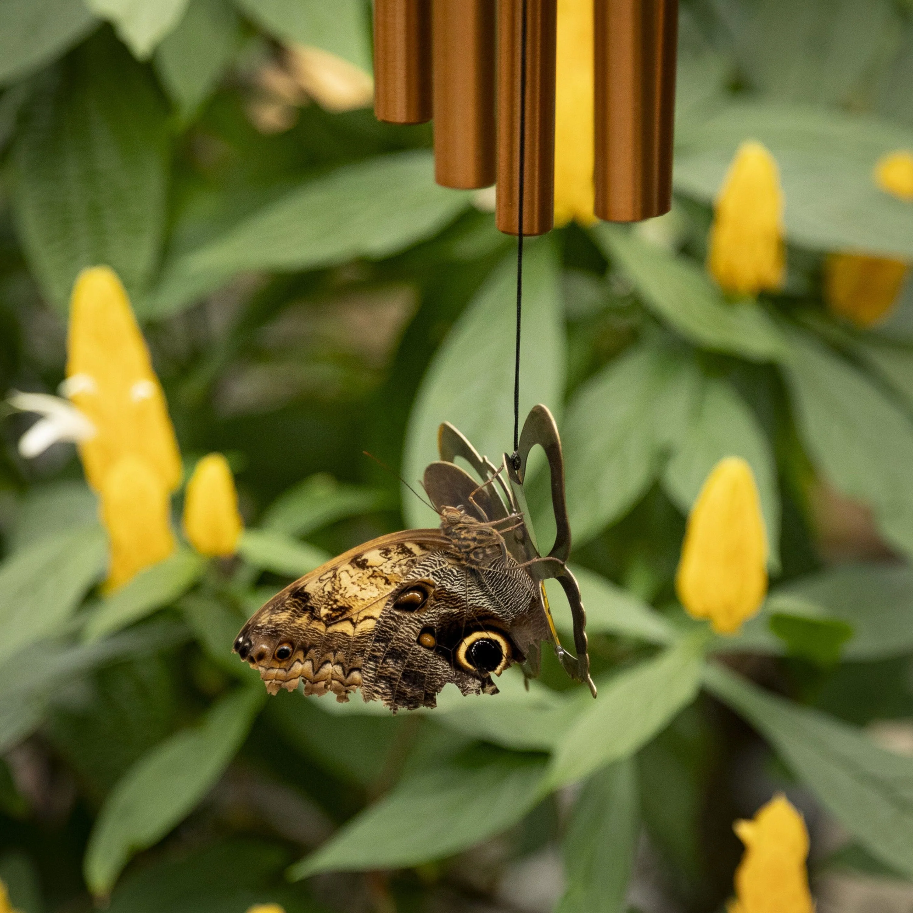 Woodstock My Butterfly Chime - Image 5