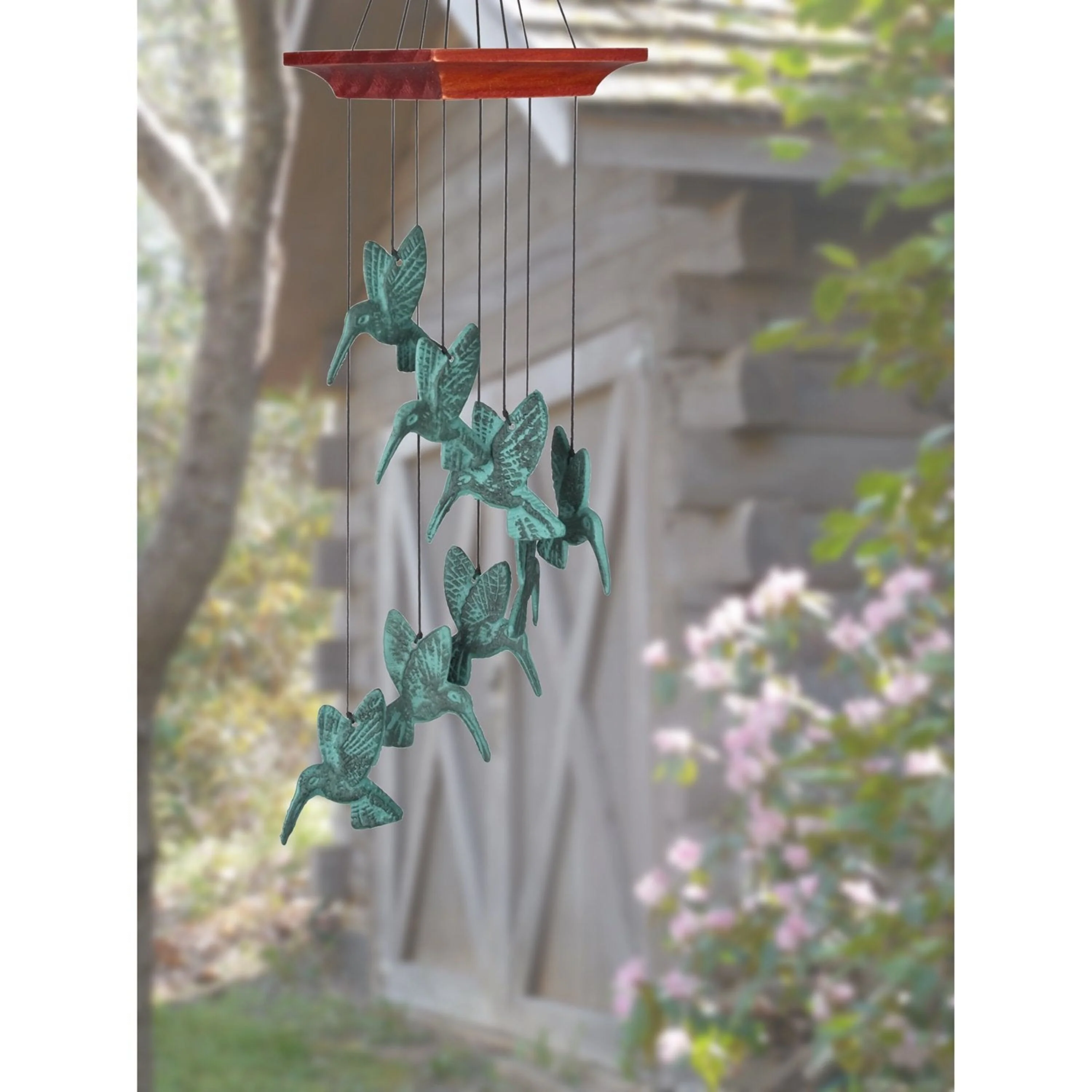 Habitats - Hummingbird Spiral - Image 4