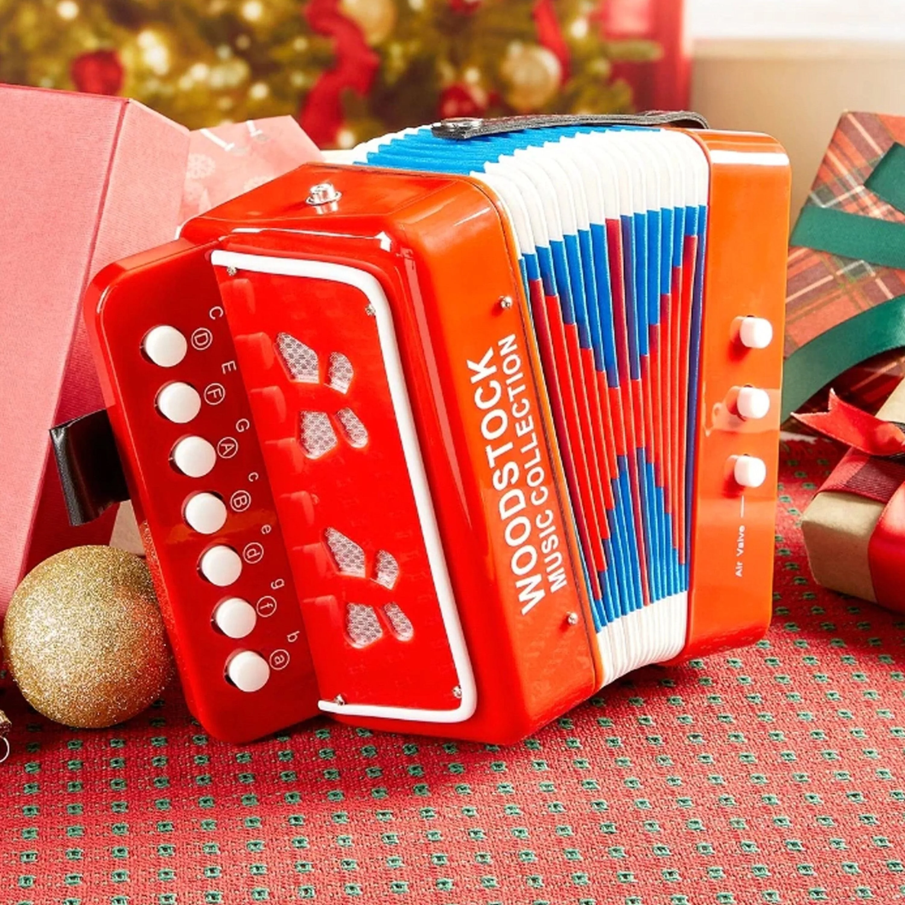 Woodstock Kid's Accordion - Image 12