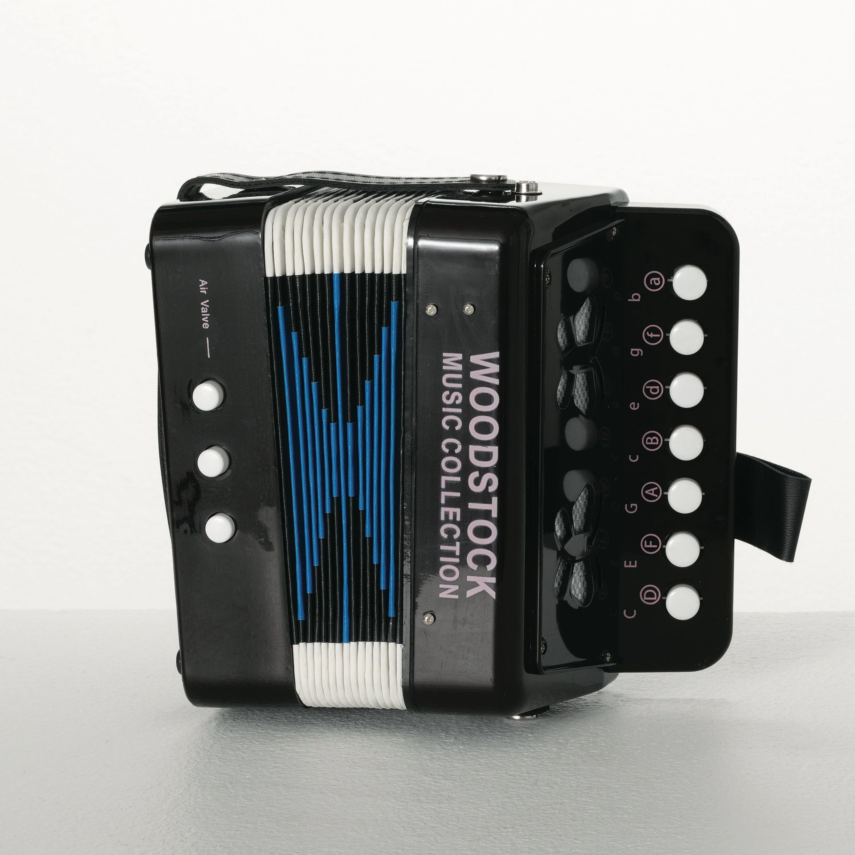 Woodstock Kid's Accordion - Black